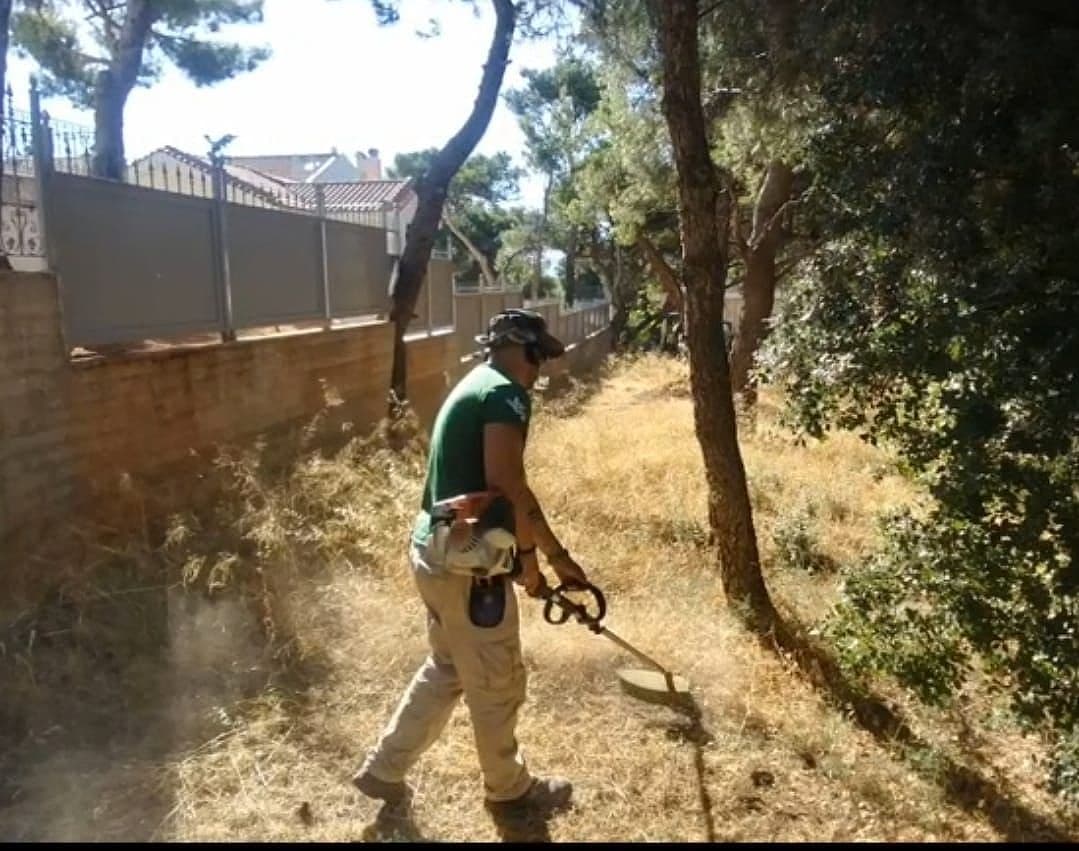 Land clearing and brush removal from an overgrown plot