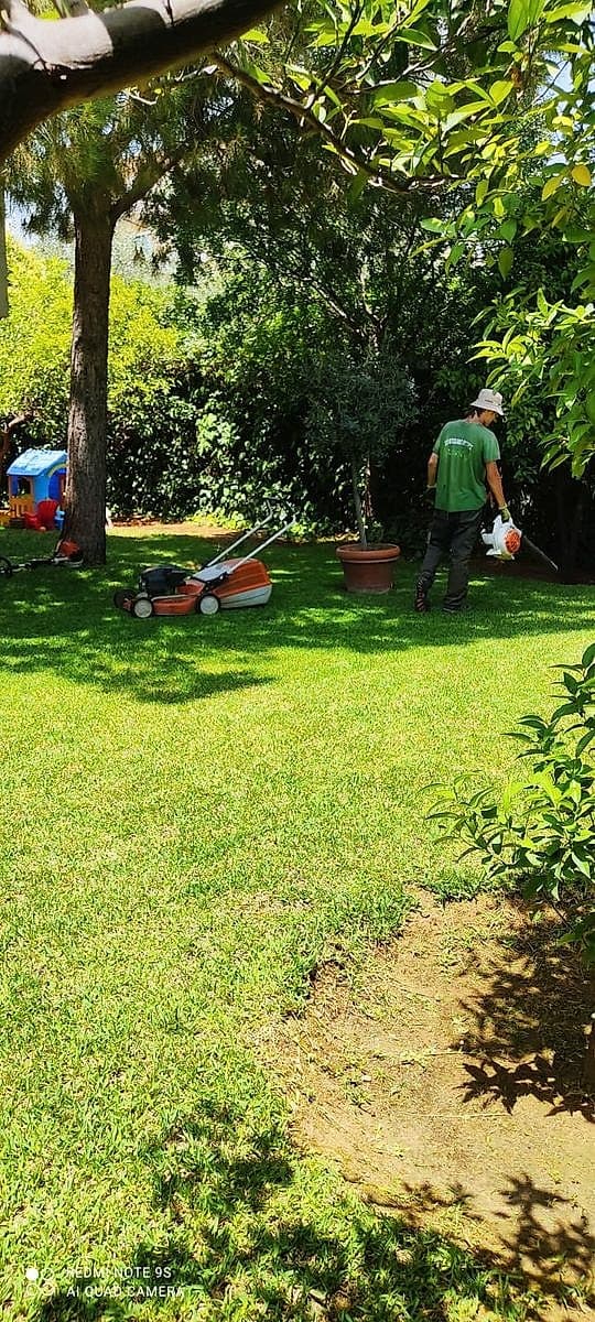 Garden maintenance with fresh lawn and healthy plant care