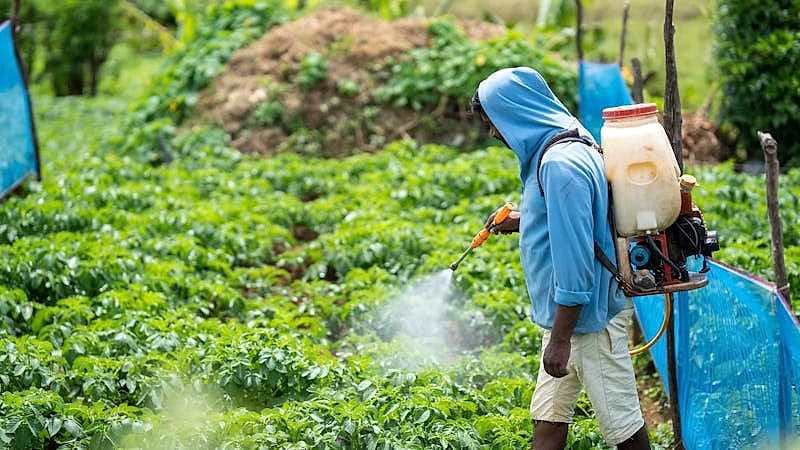 Plant protection spraying for disease and pest treatment