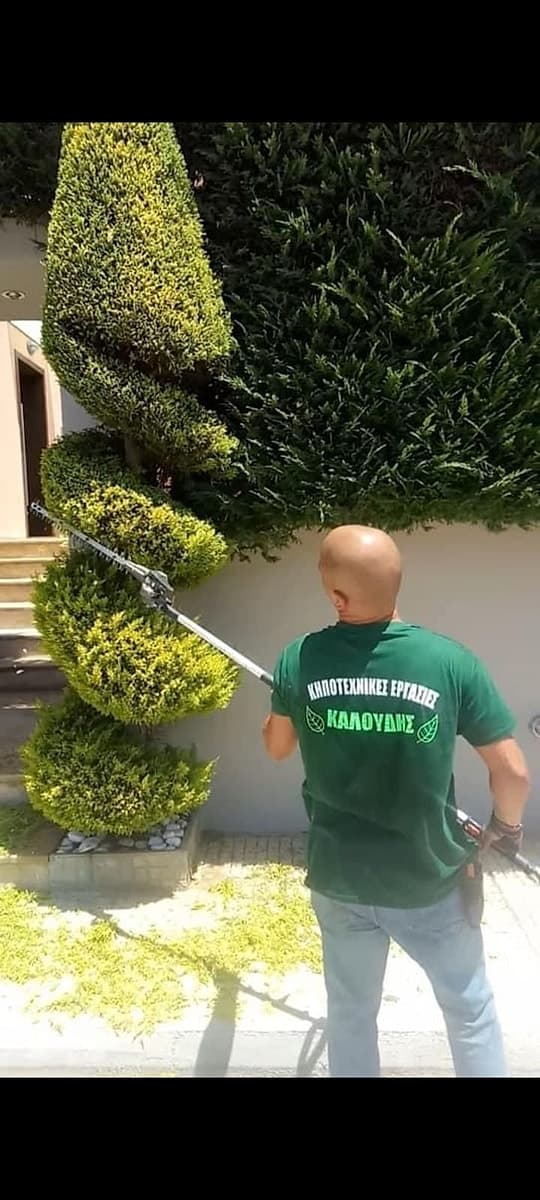 Επαγγελματικό κλάδεμα δέντρου με εξειδικευμένο εργαλείο